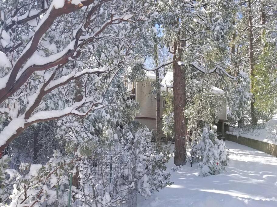 Casa De Los Arboles! Delight & Solitude Abound! Pine Cove Dış mekan fotoğraf