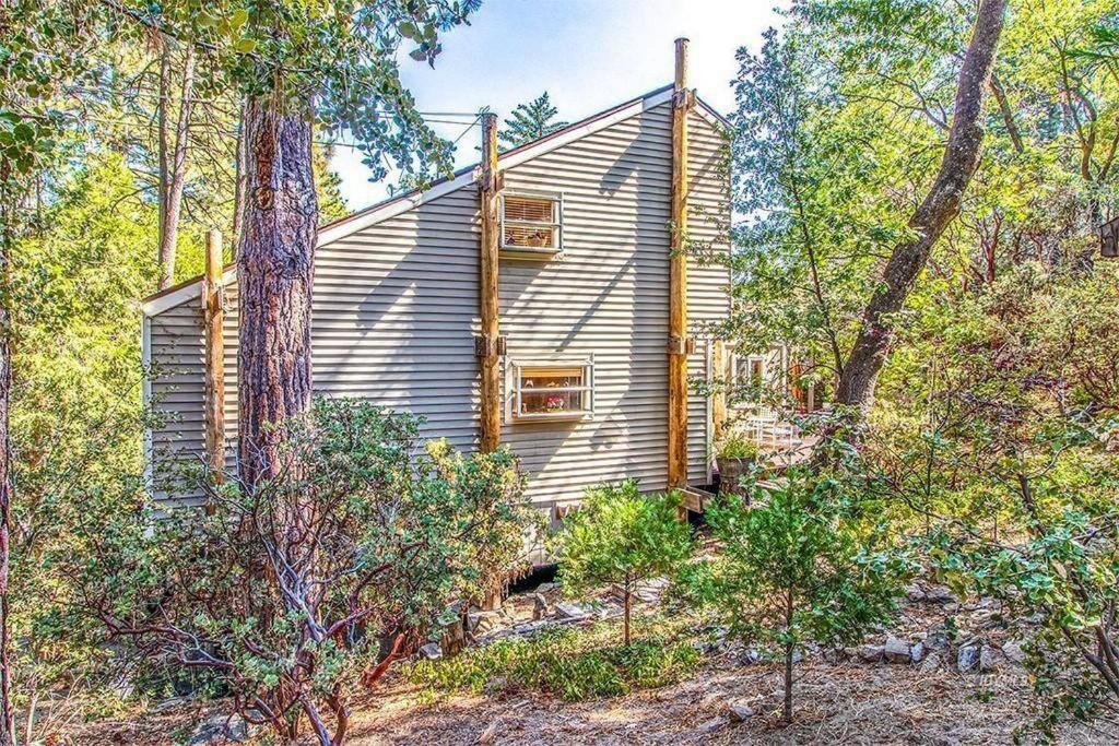 Casa De Los Arboles! Delight & Solitude Abound! Pine Cove Dış mekan fotoğraf