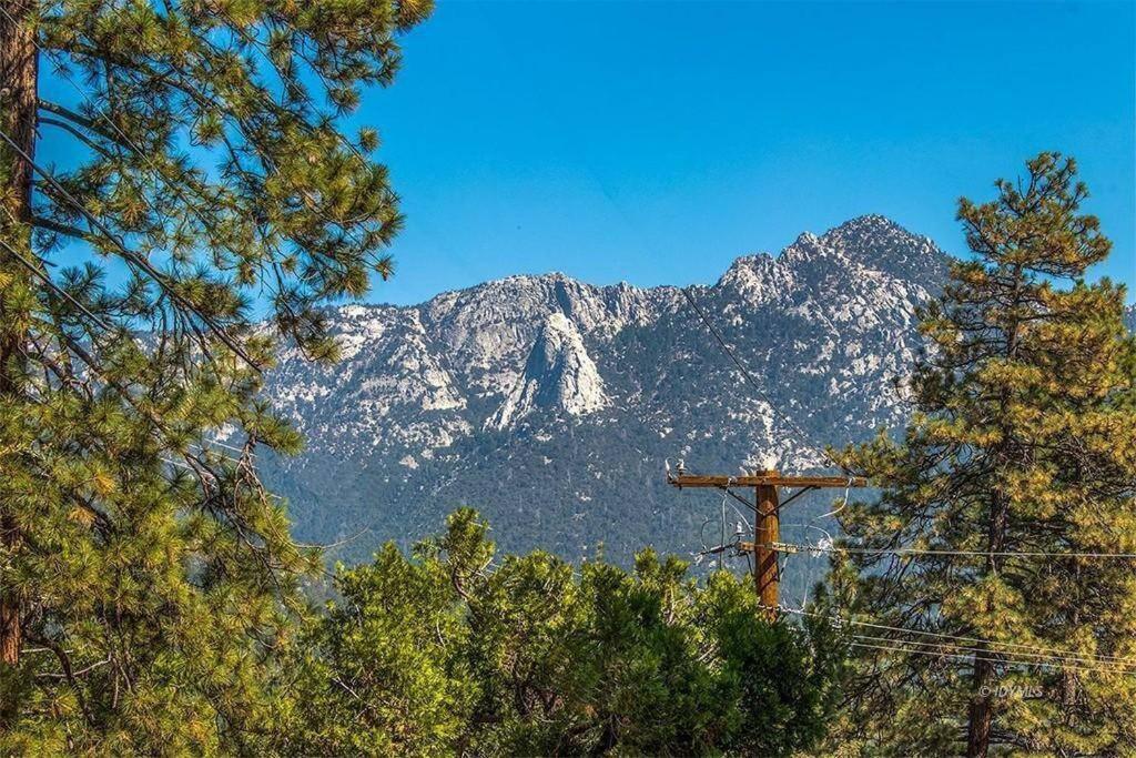 Casa De Los Arboles! Delight & Solitude Abound! Pine Cove Dış mekan fotoğraf