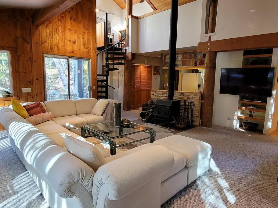 Casa De Los Arboles! Delight & Solitude Abound! Pine Cove Dış mekan fotoğraf